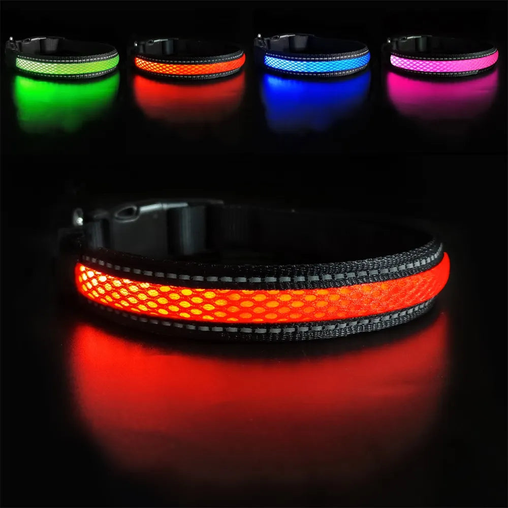 Premium LED Hundehalsband