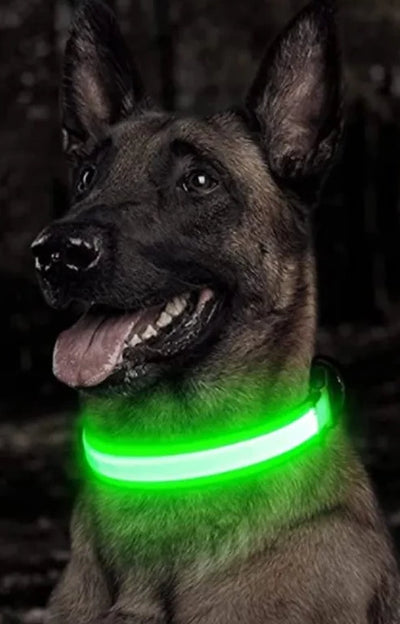 LED Hundehalsband