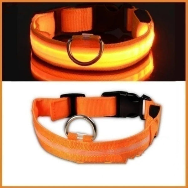 LED Hundehalsband