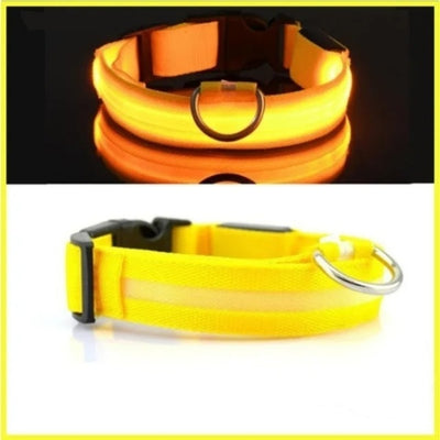 LED Hundehalsband