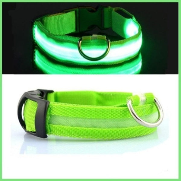 LED Hundehalsband