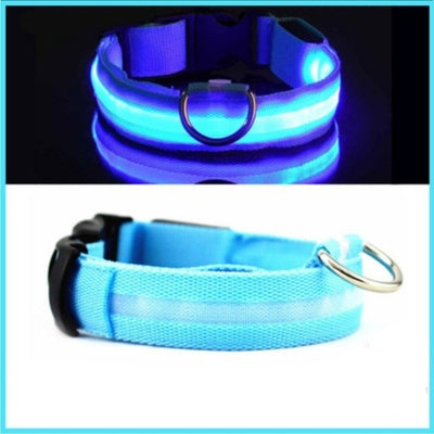 LED Hundehalsband